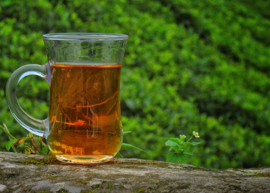The Allure of Darjeeling Tea: From Leaf to Cup